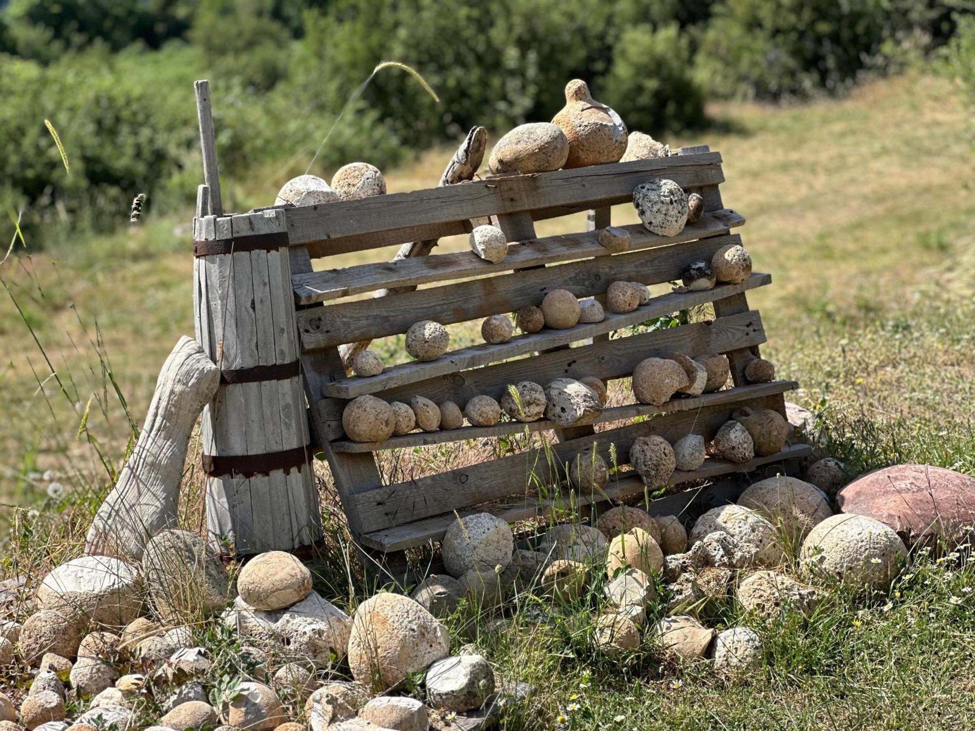 ホテル Camping Lekdushi - Shehu Tepelene エクステリア 写真